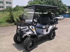 Kapasite 4 Koltuklu Yeşil Elektrikli Uçak Arabası Tatil Araçları Yüksek Performanslı