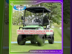 Güçlü performans için 48V kontrolörü olan 5KW AC motorlu elektrikli av arabası