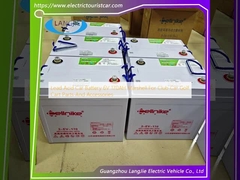 Kurşun Asitli Otomobil Bataryası 6V 170AH Club Araba Golf Araba Parçaları ve Aksesuarları için Marshell