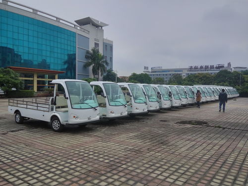 Son şirket haberleri Küba Elektrikli Ziyaret Araçları ve Kargo Kamyonlarını Kabul Ediyor: Konukseverlik Sektöründe Sürdürülebilir Hareketlilik Çiçekler