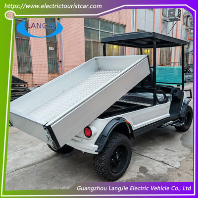Taşıma Çantası için Kargo ile 2 Kişilik 48V Pil Otel Buggy Araba