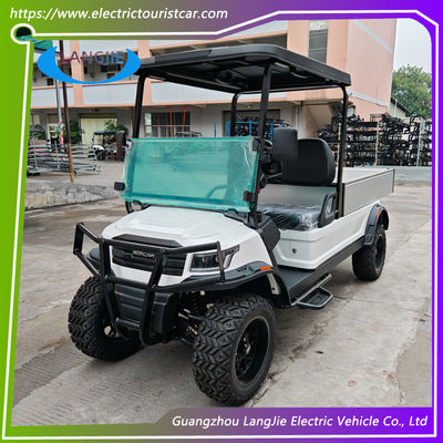 48V AC Motor Elektrikli 2 Koltuklu Golf Buggy Pille İşletilen Park için CE Sertifikasyonu