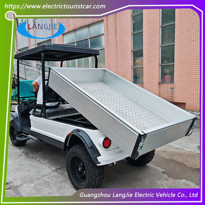 48V AC Motor Elektrikli 2 Koltuklu Golf Buggy Pille İşletilen Park için CE Sertifikasyonu